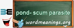 WordMeaning blackboard for pond-scum parasite